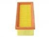 Luftfilter Air Filter:7759323