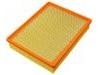 Luftfilter Air Filter:25313348