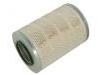 Air Filter:1517 842