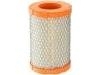 Filtro de aire Air Filter:68029432AA