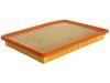 Luftfilter Air Filter:22679620