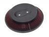 Luftfilter Air Filter:16546-86G00