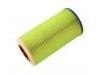 Air Filter:84187405