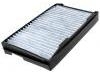 Filter, Innenraumluft Cabin Air Filter:12758729